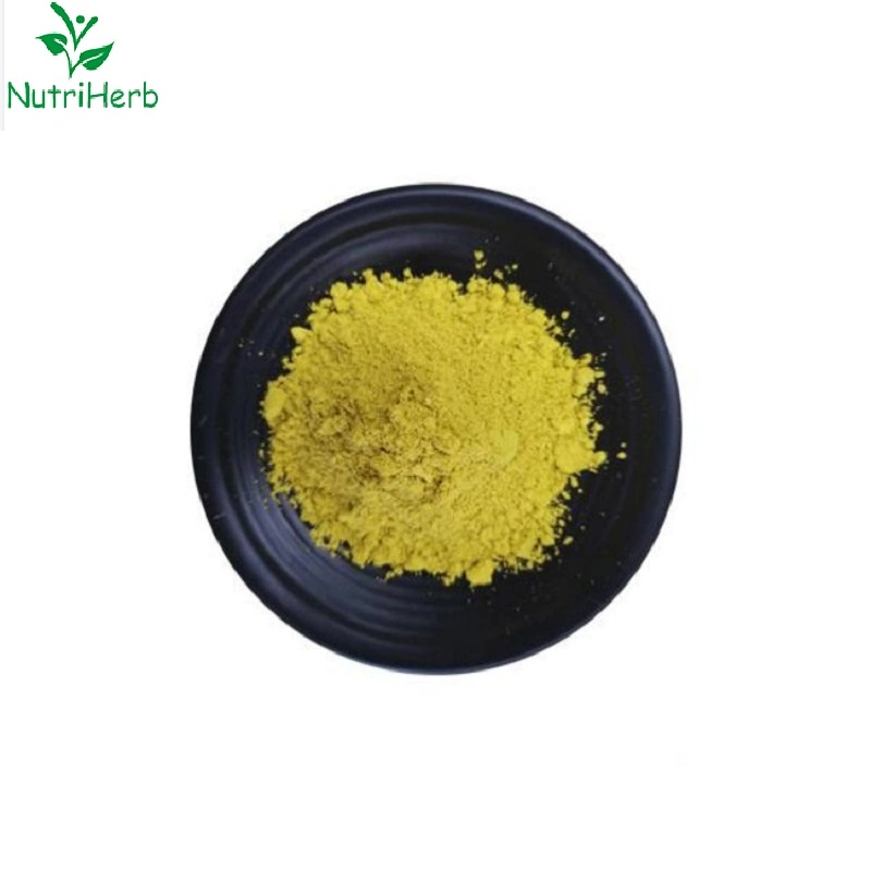 High Quality Berberine Bark Extract Hydrochloride Powder Organic Berberine HCl Powder