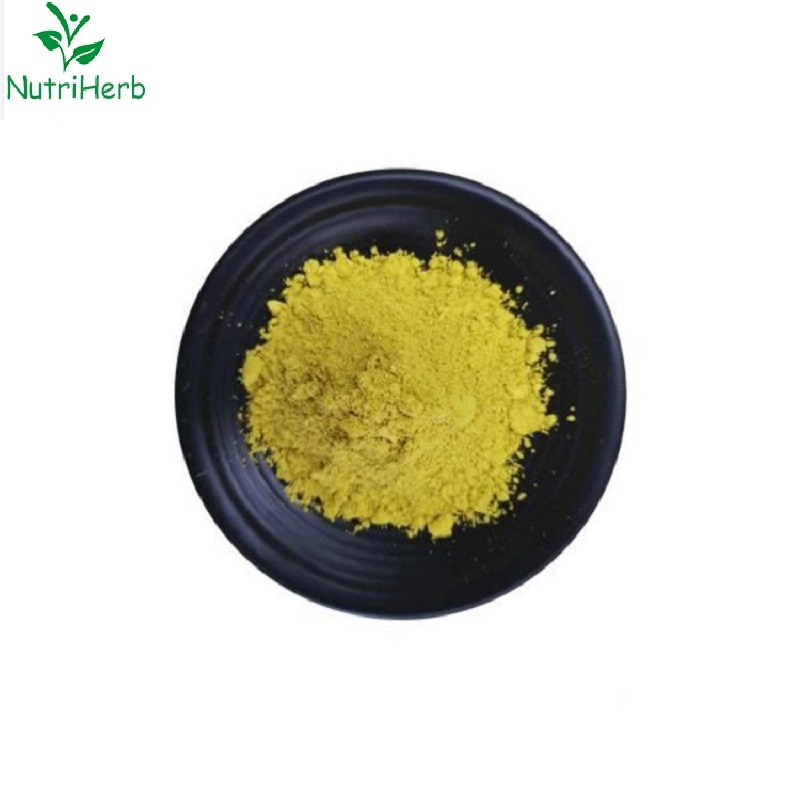 Berberine de alta calidad Extracto de Corteza Clorhidrato de polvo orgánico Berberine HCl Polvo