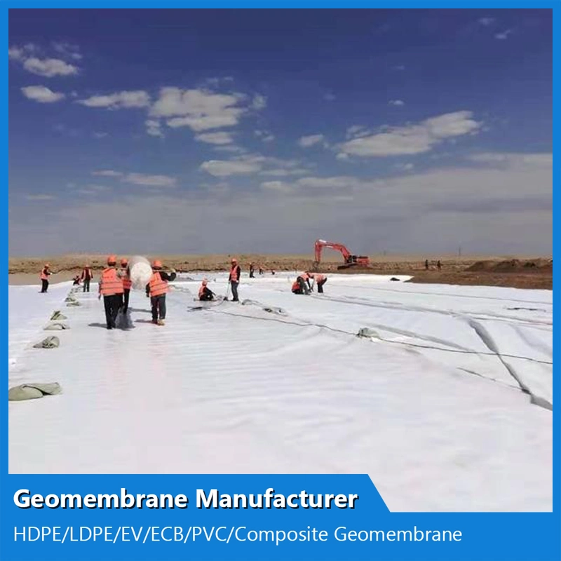 Anti-Seepage 4-6m Width Geotextile Composite Geomembrane for Tunnel Construction