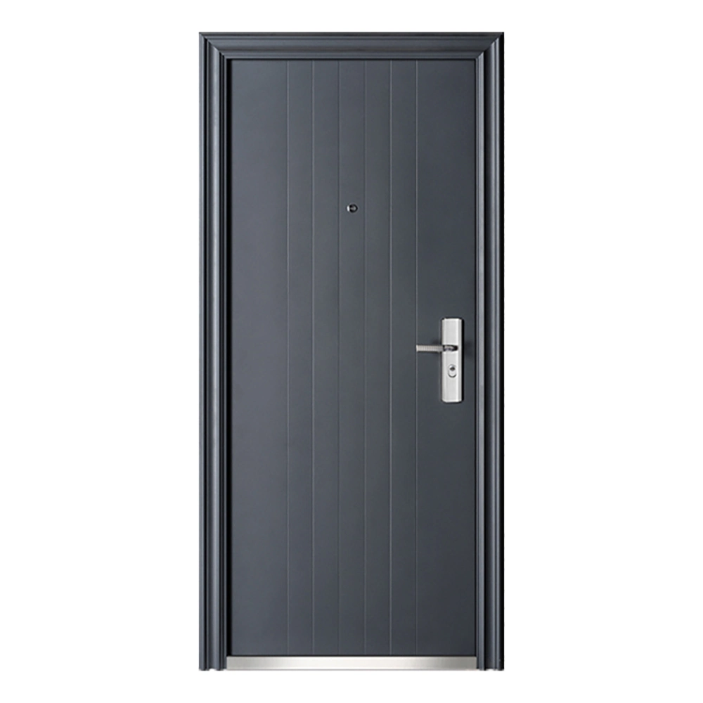 Modern Design Grey Powder Coated Steel Door for Project