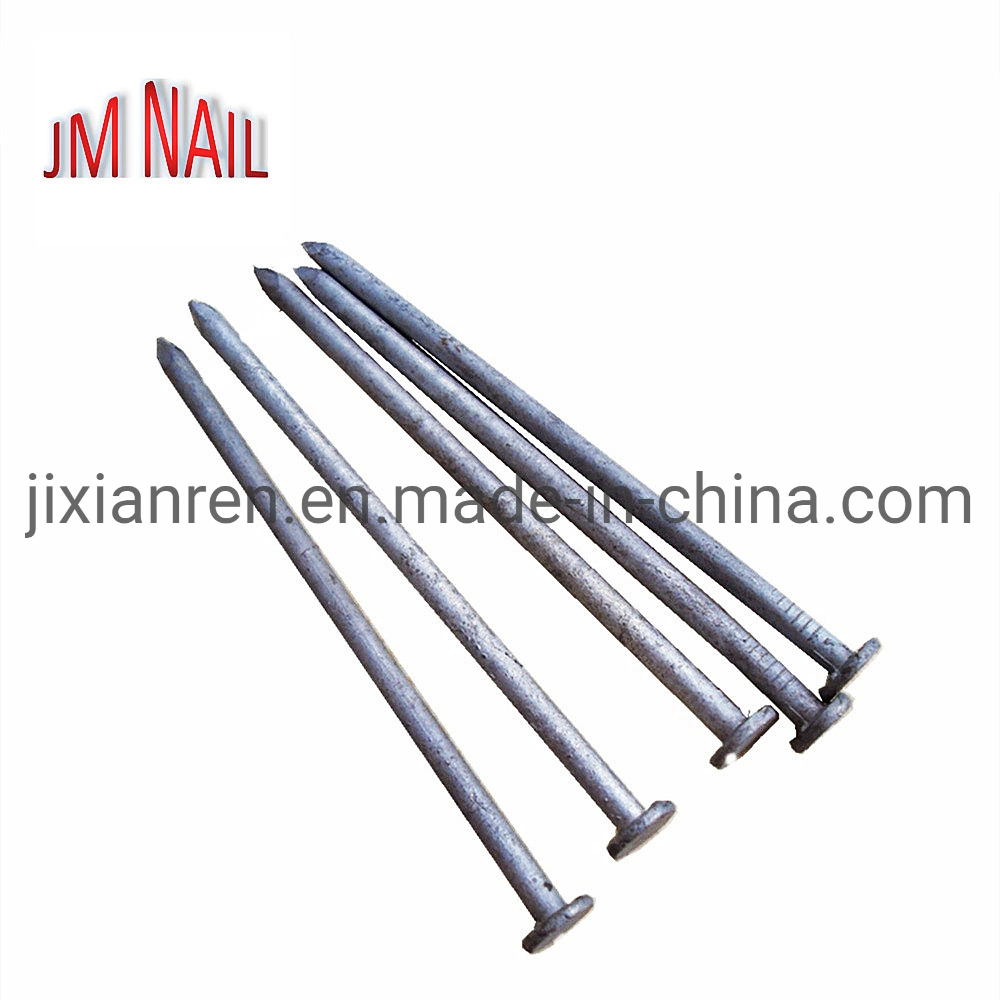 Common Nail/Building Nail/Wire Nail/Construction Nail/Iron Nail/Steel Nail