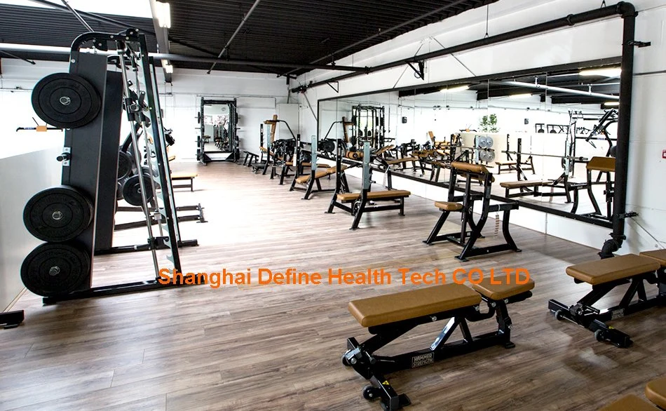 Hammer Strength Machine,fitness equipment,gym strength equipment,Dumbbell Rack-10 Pairs (DHS-4008)