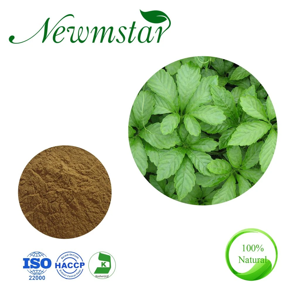 Lowering Blood Pressure Plant Extract Gypenoside30% Gynostemma Pentaphyllum Extract 4: 1~20: 1 Herbal Root Extract