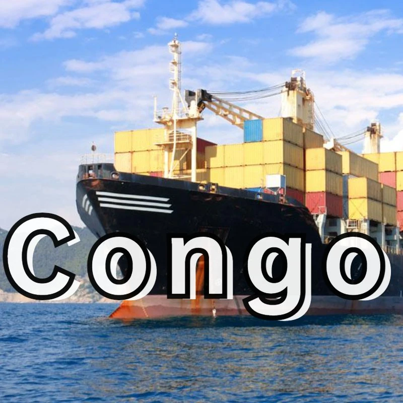 Agente de transporte de Guangzhou, China al Congo, Amazon