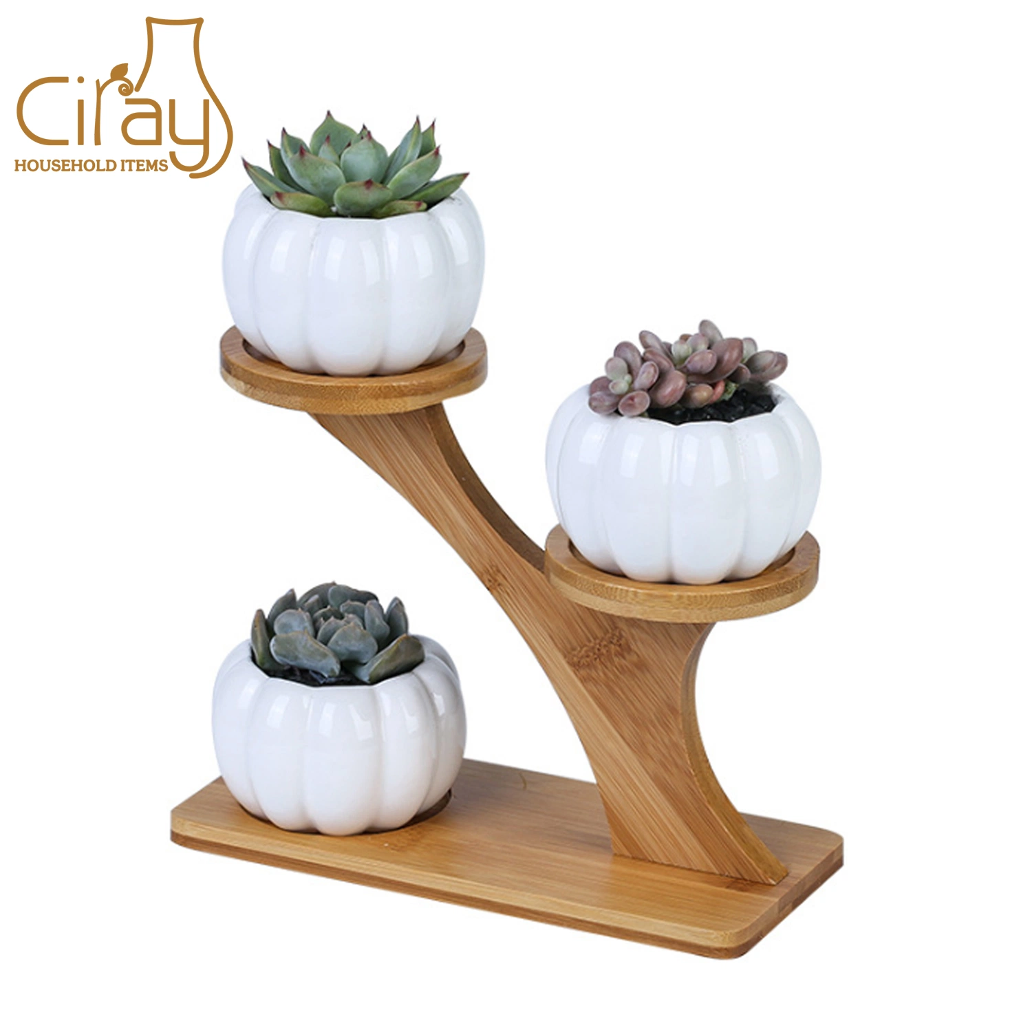 Small Pumpkin Shape Ceramic Flower Pot with Bamboo Stand