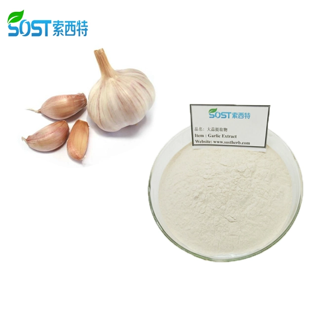 SOST Wholesale EU Organic Feed Grade Dehydrated Allicin Garlic Powder