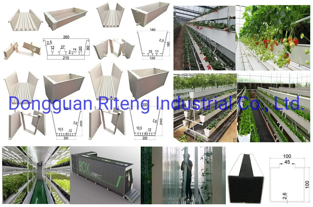 Vertical Farm in Nft Hydroponics System Planting Trough Used for Vertical Farm