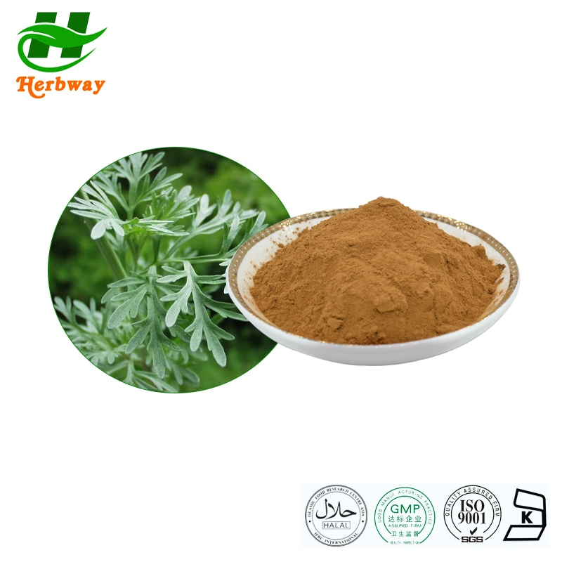 Herbway Top Ventas mejor Precio Extracto Botánico Artemisia Apiacea Hance Extracto Extracto de la hoja de Wormwood Extracto de la hoja de Wormwood polvo efecto hemostático