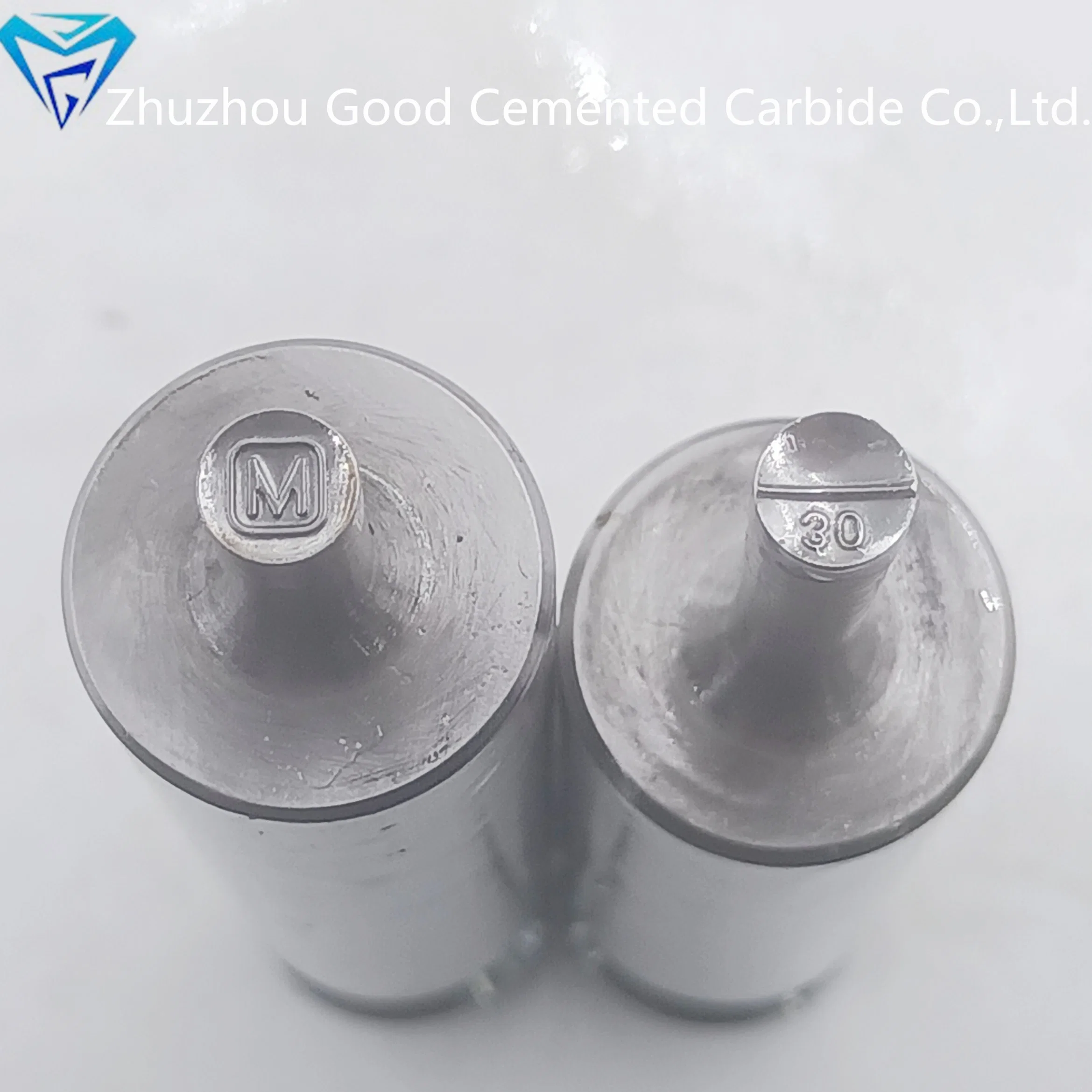 3D Round Shape M30 Pattern Tablet Press Die Candy Pill Press Mould Zp Machine Mold Candy Punch Die for Tdp Machine and Zp5/Zp7/Zp9/Zp10/Zp12 Machine