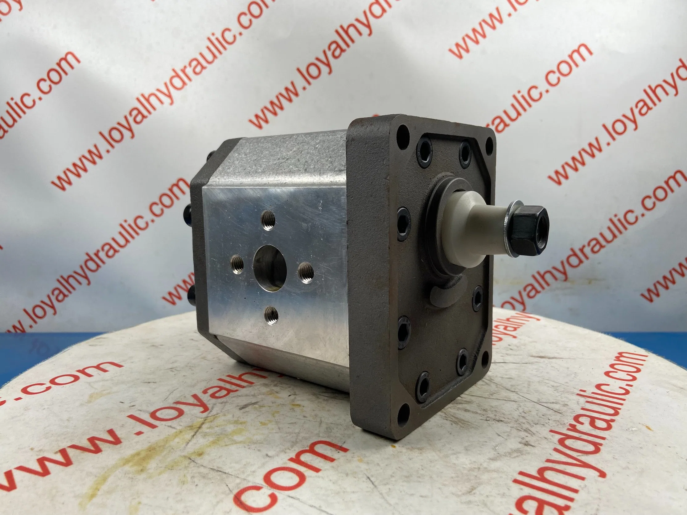 L-Caproni Hydraulic Gear Pump A16/C16/A19/C19/A14/C14/A15/C15 for Forklift, Crawler Excavator, Agricultural Machinery, Tractor Spare Parts