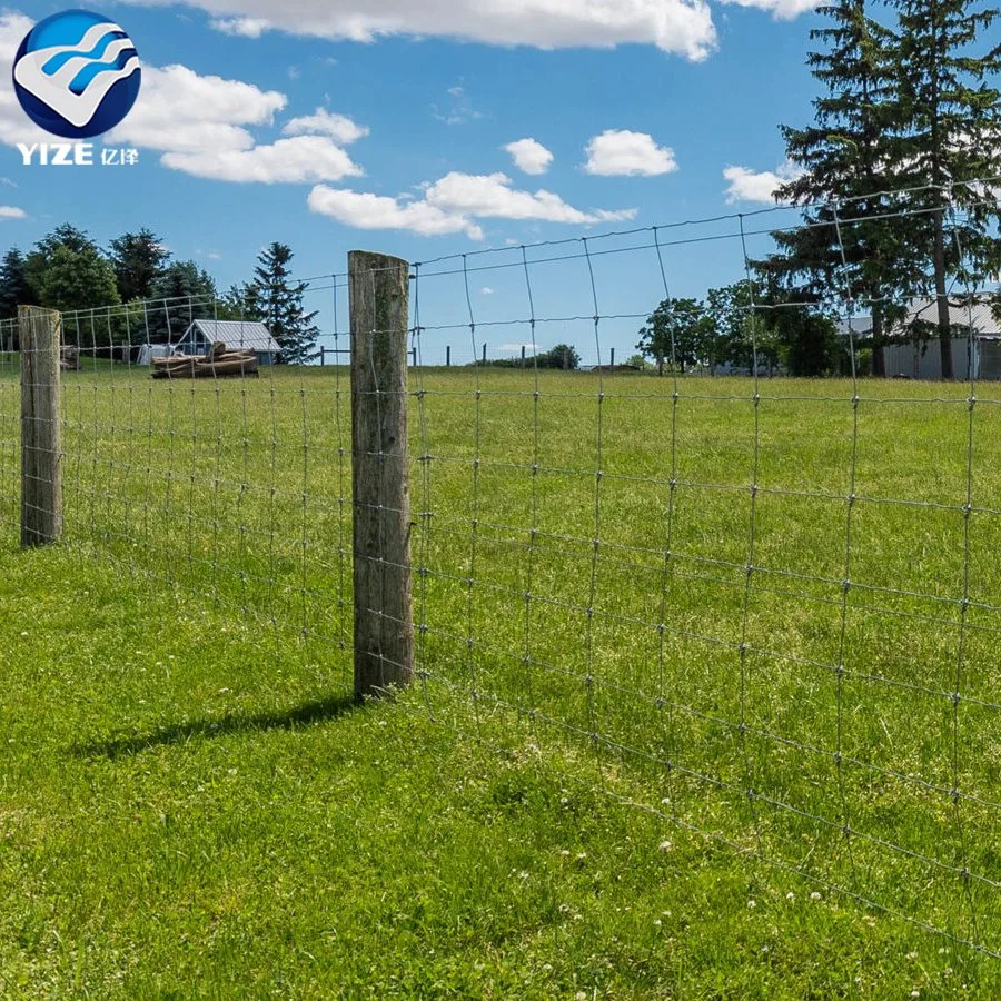 Treillis métallique galvanisé haute teneur volaille moutons et chèvre Ferme Fence ferme de cerf Woven Fence