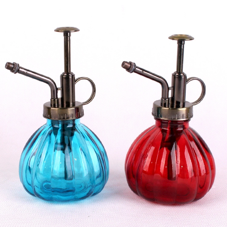 Glass Water Spray Bottle Small Watering Can with Sprinkler