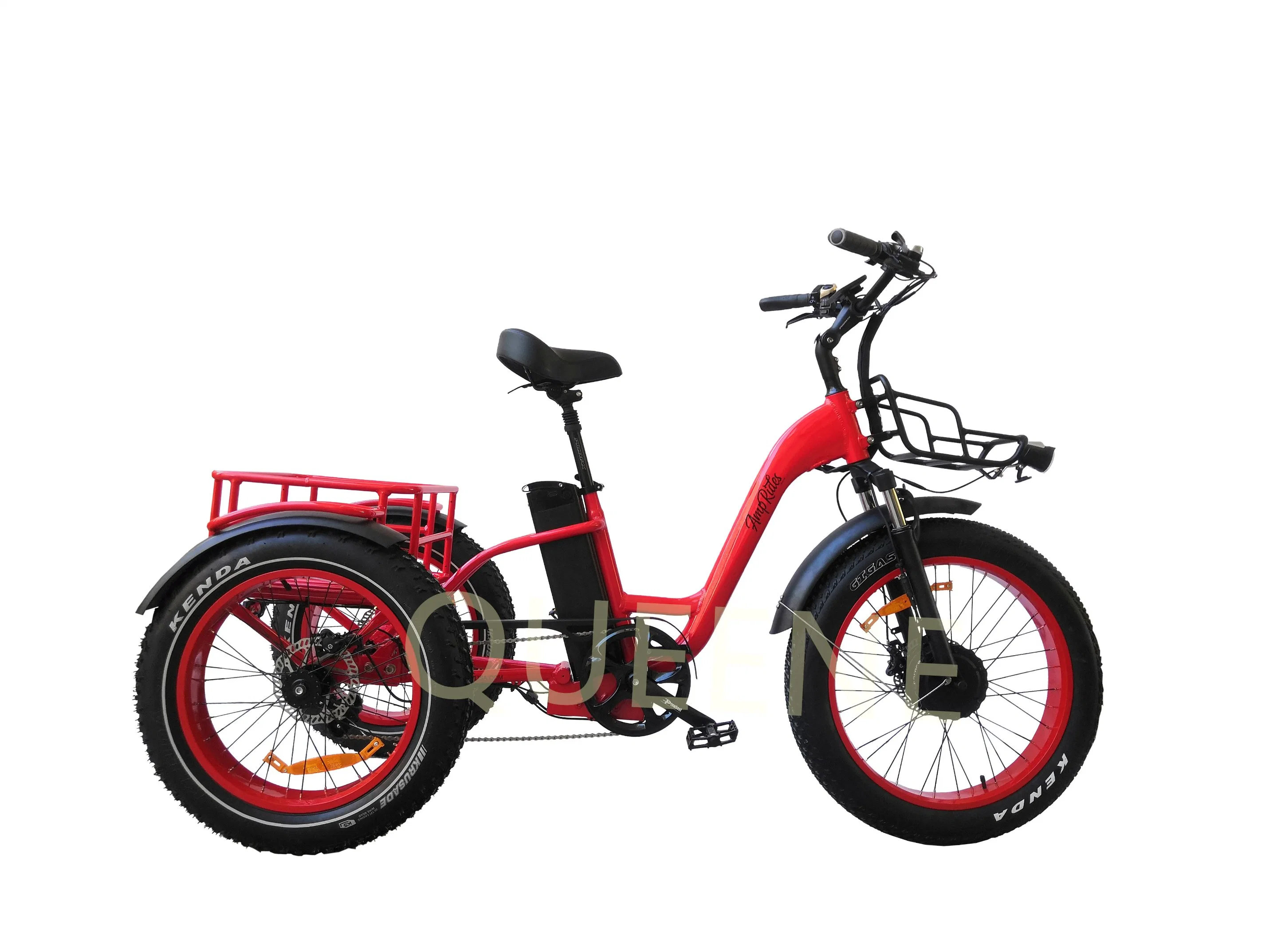 Queene 24 Inch Electric Trike Fat Tire 3 Wheel Electric Tricycle Three Wheels Adult Cargo Electric Bike with Basket