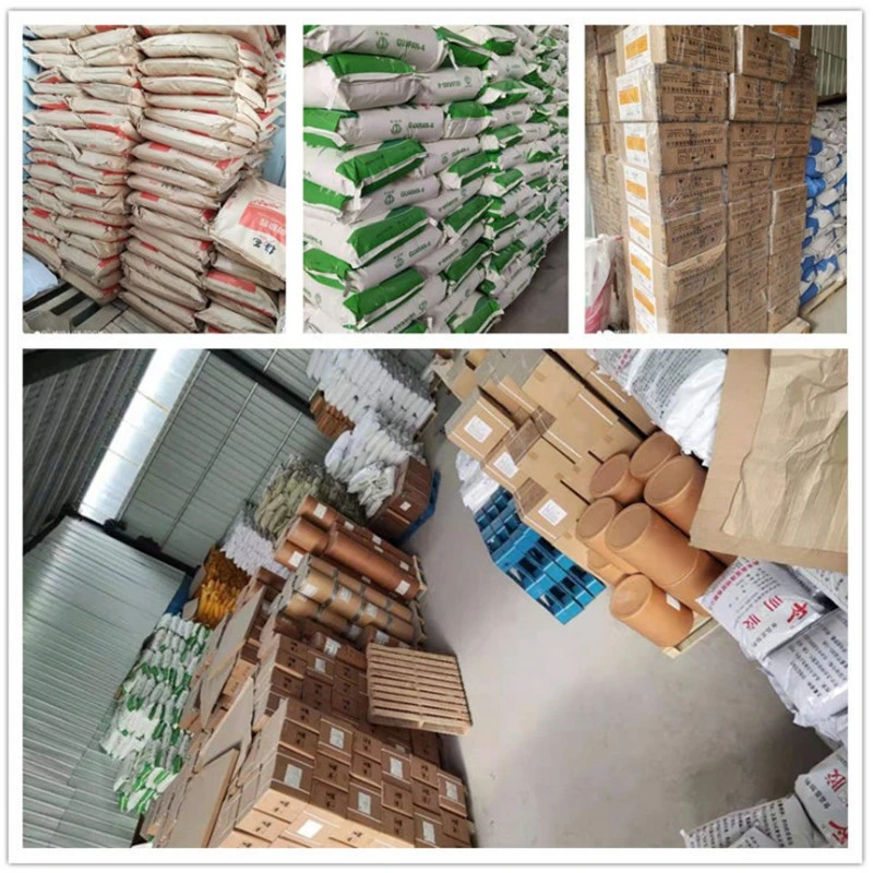 Wholesale/Supplier New Zealand Skimmed/Whole Milk Powder 25kg Cow Milk Powder for Food and Beverage