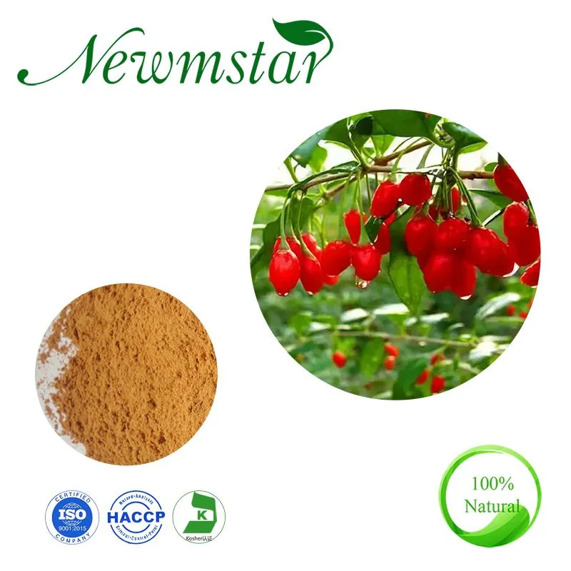 Goji Berry Extract ISO zertifiziert Hersteller Versorgung 100% natürliche Goji Pulver