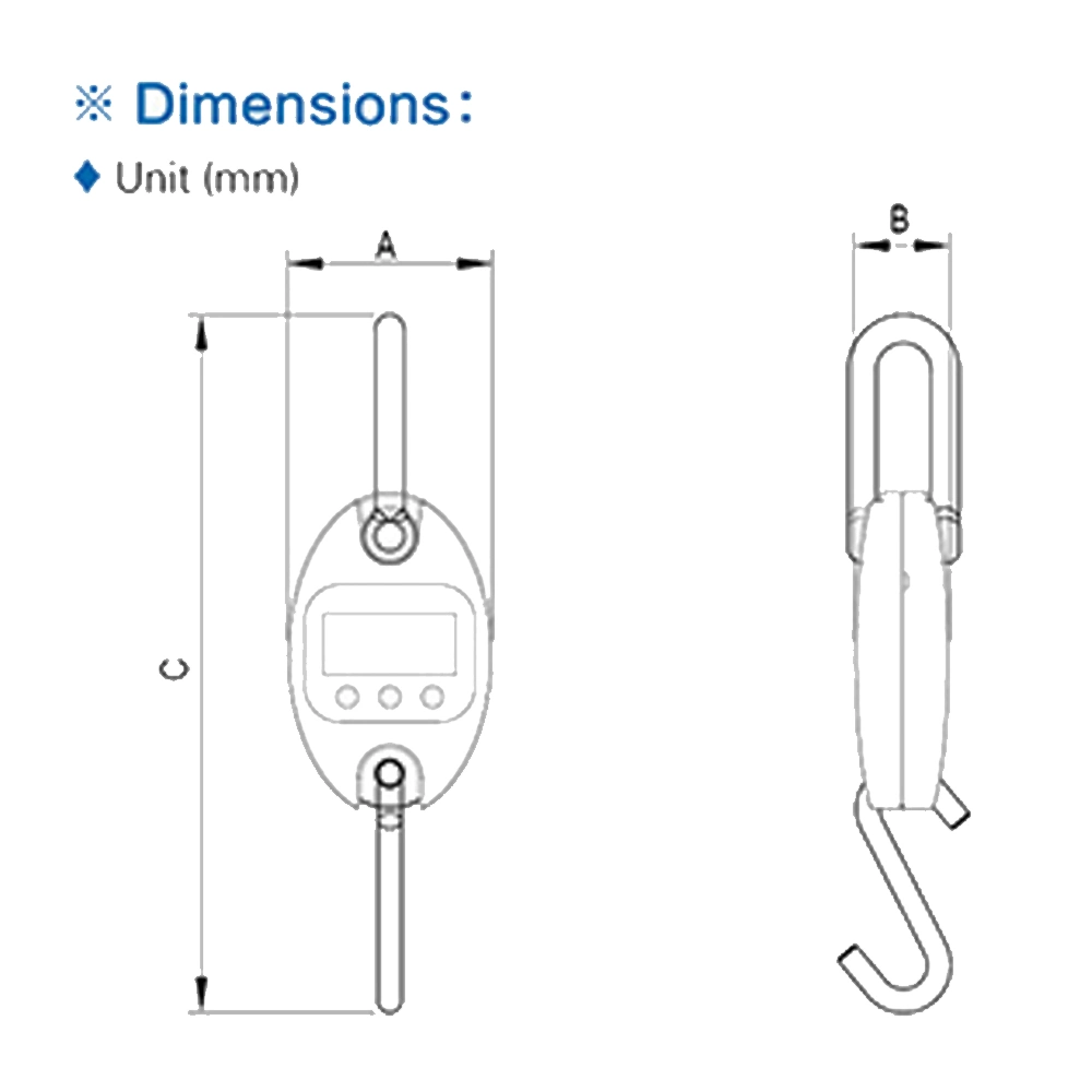 China Manufacturer 100kg 300kg 500kg Weighing Crane Professional Mini Digital Scale