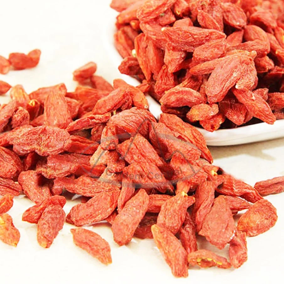 Goji pour la santé de haute qualité des fruits de thé avec des prix concurrentiels