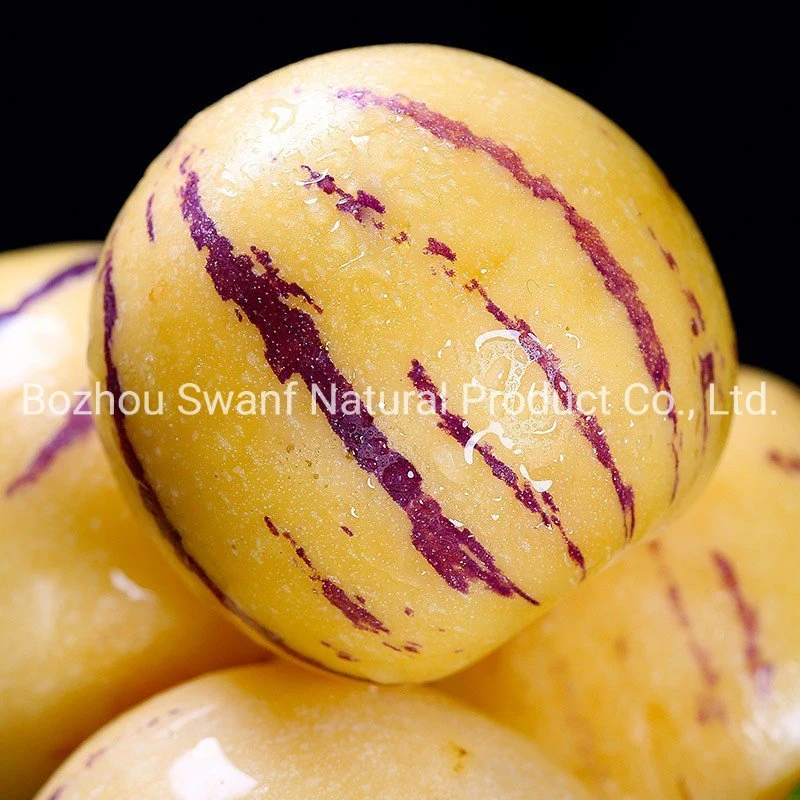 100PCS هجينة الفواكه السوبر بيبينو بذور ميلون Sapodilla Solanum Muricatum بذور الكيتون للغرس