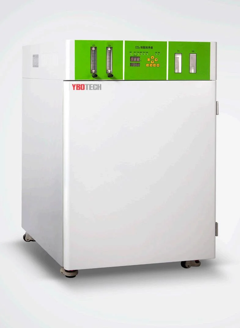 Lab CO2 Incubator for Microbiology & Medicine 85 L LCD Display