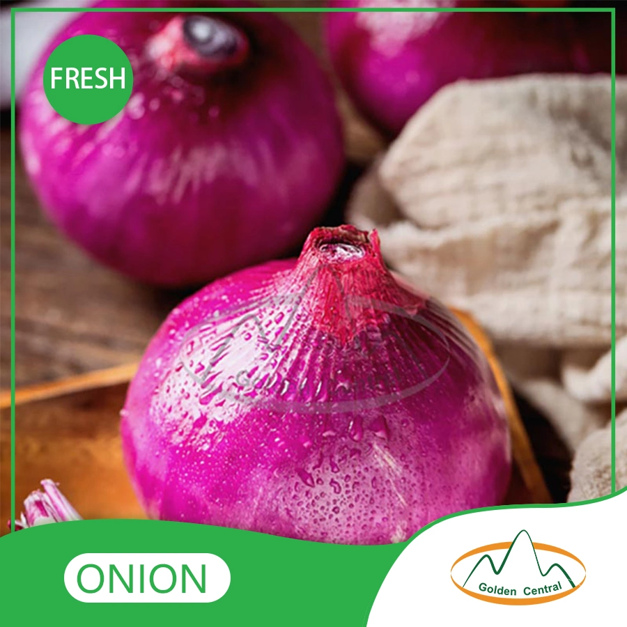 Low Price Fresh Yellow Onion