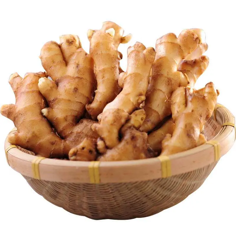 2020 China Top Quality and Hot Sell Fresh Ginger