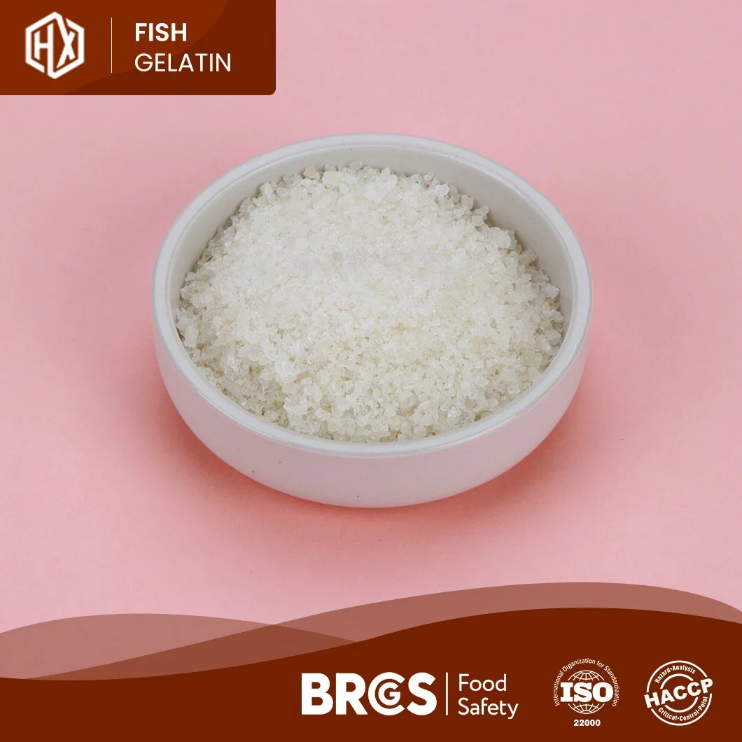 Haoxiang OEM Customized Powdered Cod Fish Skin Gelatin China Pharma Cod Fish Skin Gelatin Manufacturing Functional Food Marine Cod Fish Skin Gelatin