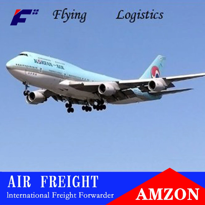 Dedicated Trust Worthy Considerate Service China Best Sell Air Freight Rates From China to Muenchen