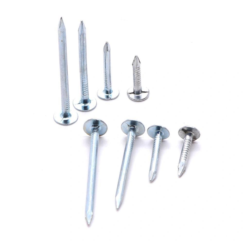 Building Nail Iron Nail Common Iron Nail