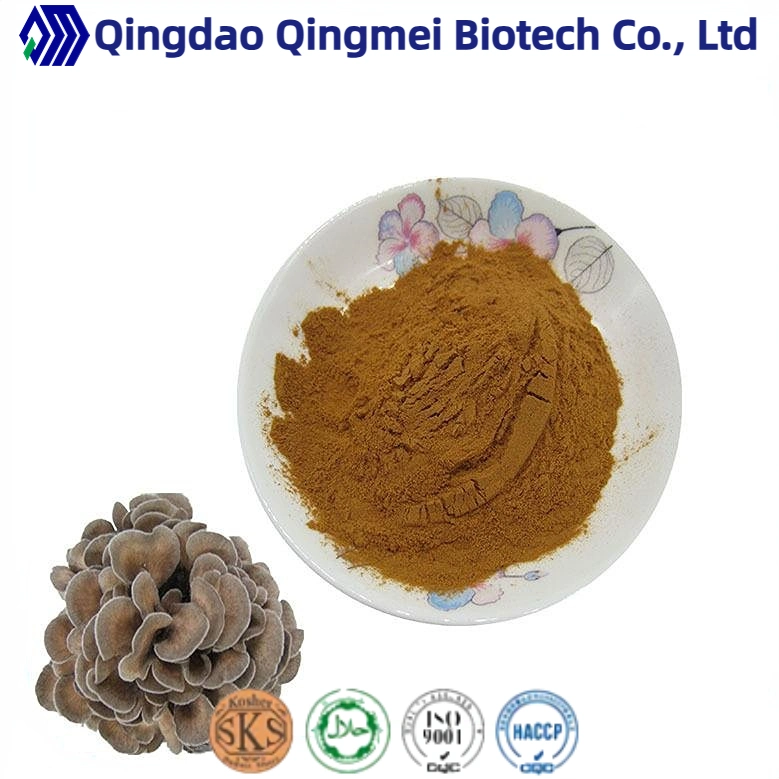 Manufacture of Mushroom Extract Maitake Extract