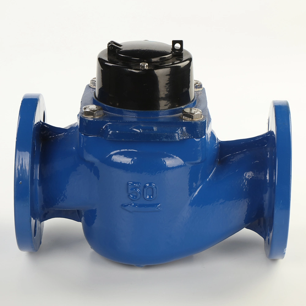 Chiese Manufacturer Detachable Cast Iron Body Head Bulk R80 Cold Hot Dry Type Woltman Water Meter