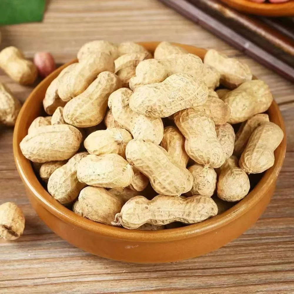 Food Grade Virginia Washed Raw Groundnut in Shell 11/13