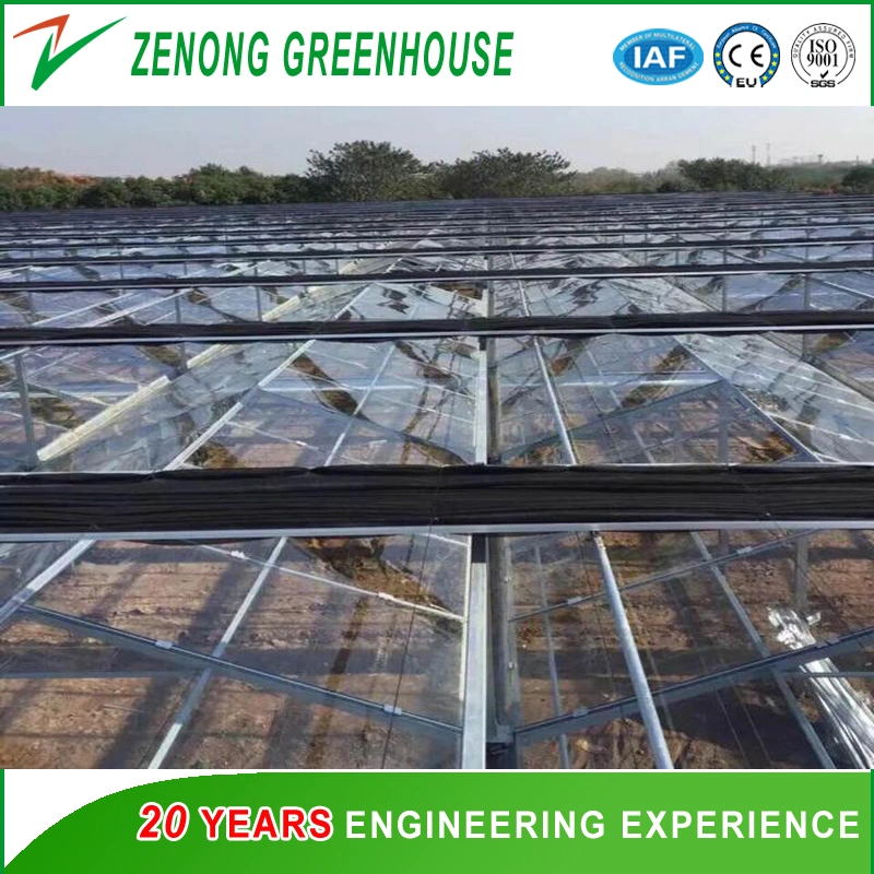 Effective Greenhouse Outside Shading Screen for Lowing The Temperature Not Sunburn The Crops