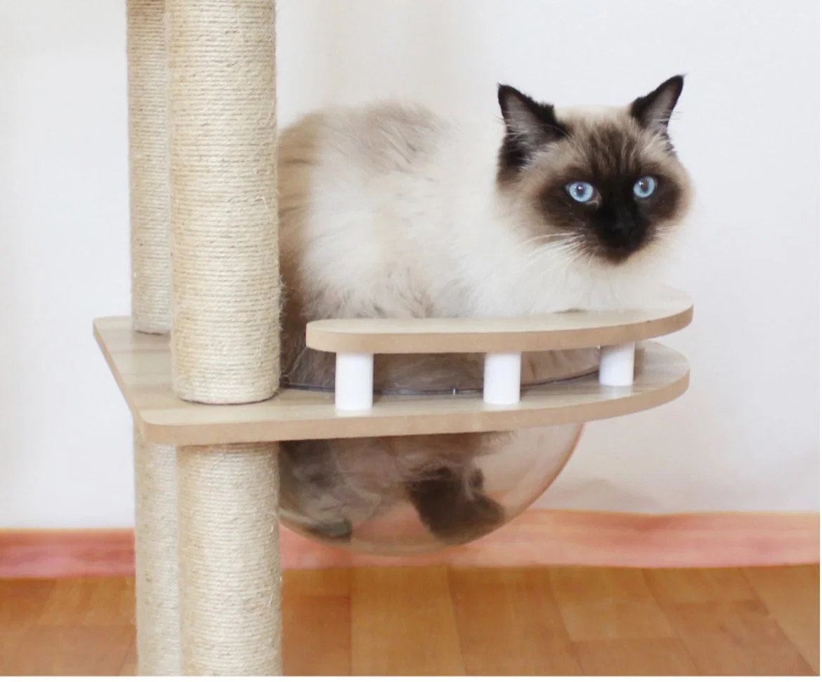 Panneau de meubles, grand châssis d'escalade pour chats, jouets pour chats