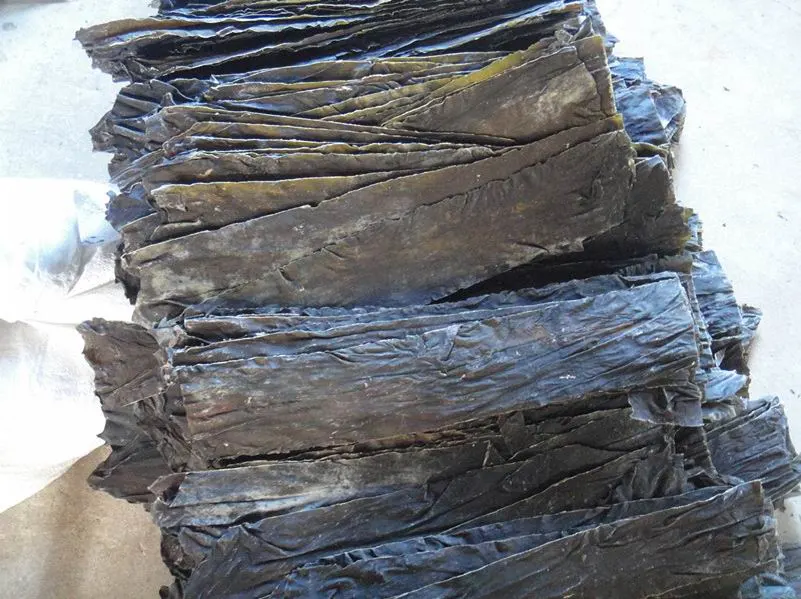 Export Hot Selling Natural Shredded Seaweed Laminaria for Wholesale