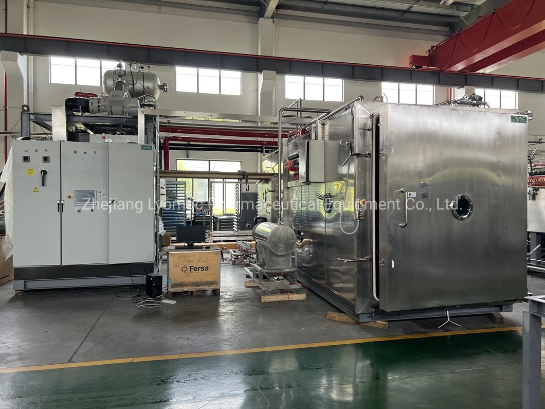 Universal Freeze Dryer System, Lyophilizer, Rectangle Chamber, for Medicine Food Vegetables