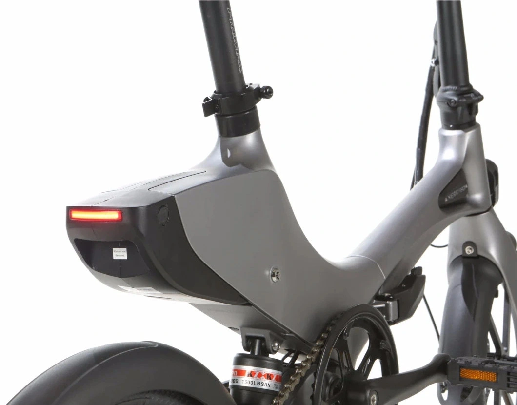 EBike plegable 300W Hub Motor bicicleta eléctrica plegable Ciudad eléctrica Bicicleta