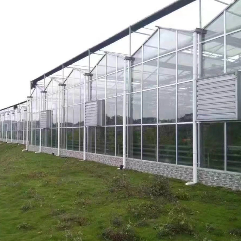 Great Performance Glass Greenhouse for Vegetables/Fruits/Flowers