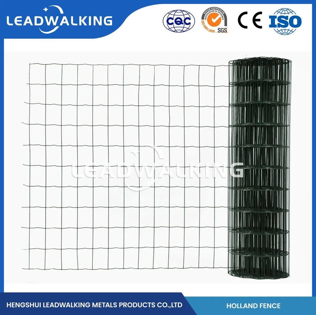 Muestra de fábrica de malla de alambre recubierta de PVC soldada en Leadwalking disponible 3mm Paneles de malla de alambre soldado recubiertos de PVC China 3,0mm grosor del alambre Nederlands Net