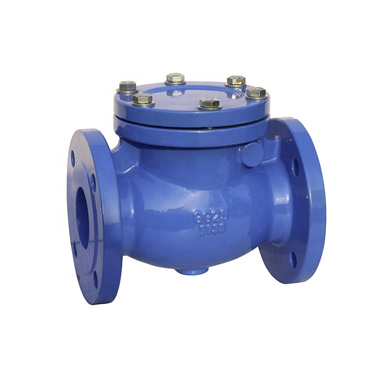 DIN Cast Iron Epoxy Swing Flanged Check Valve Pn16