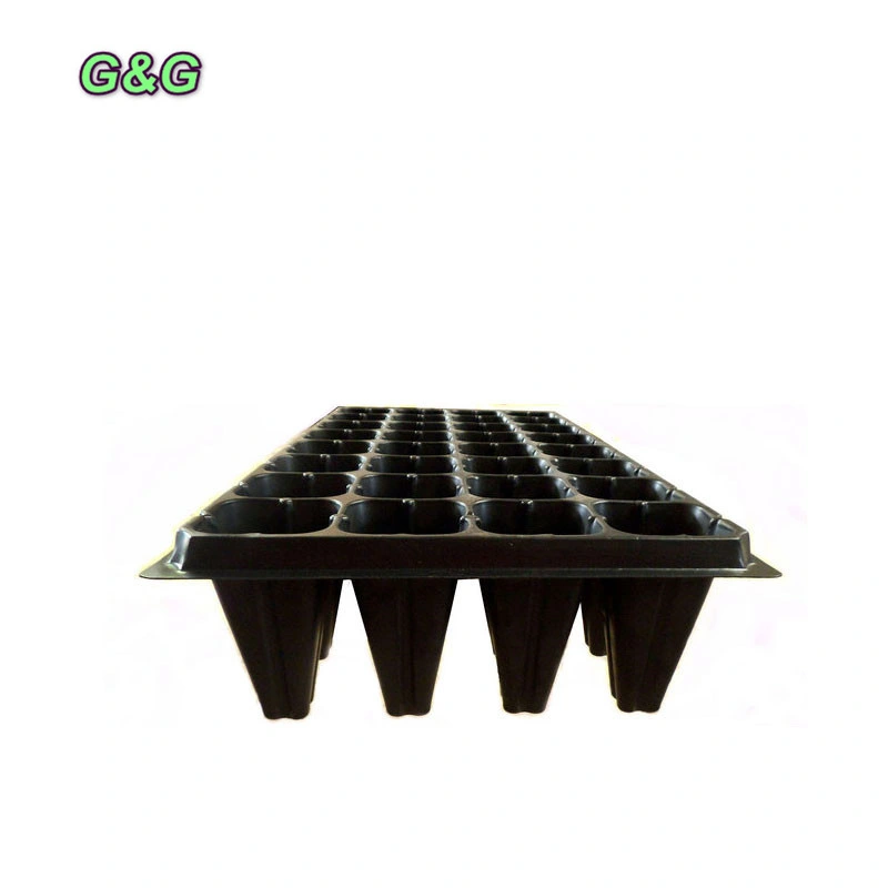 Tray Hydroponic Flat 1020 with or Without Holes for Planting Microverts Wheatgrass Rice Seedling Tray