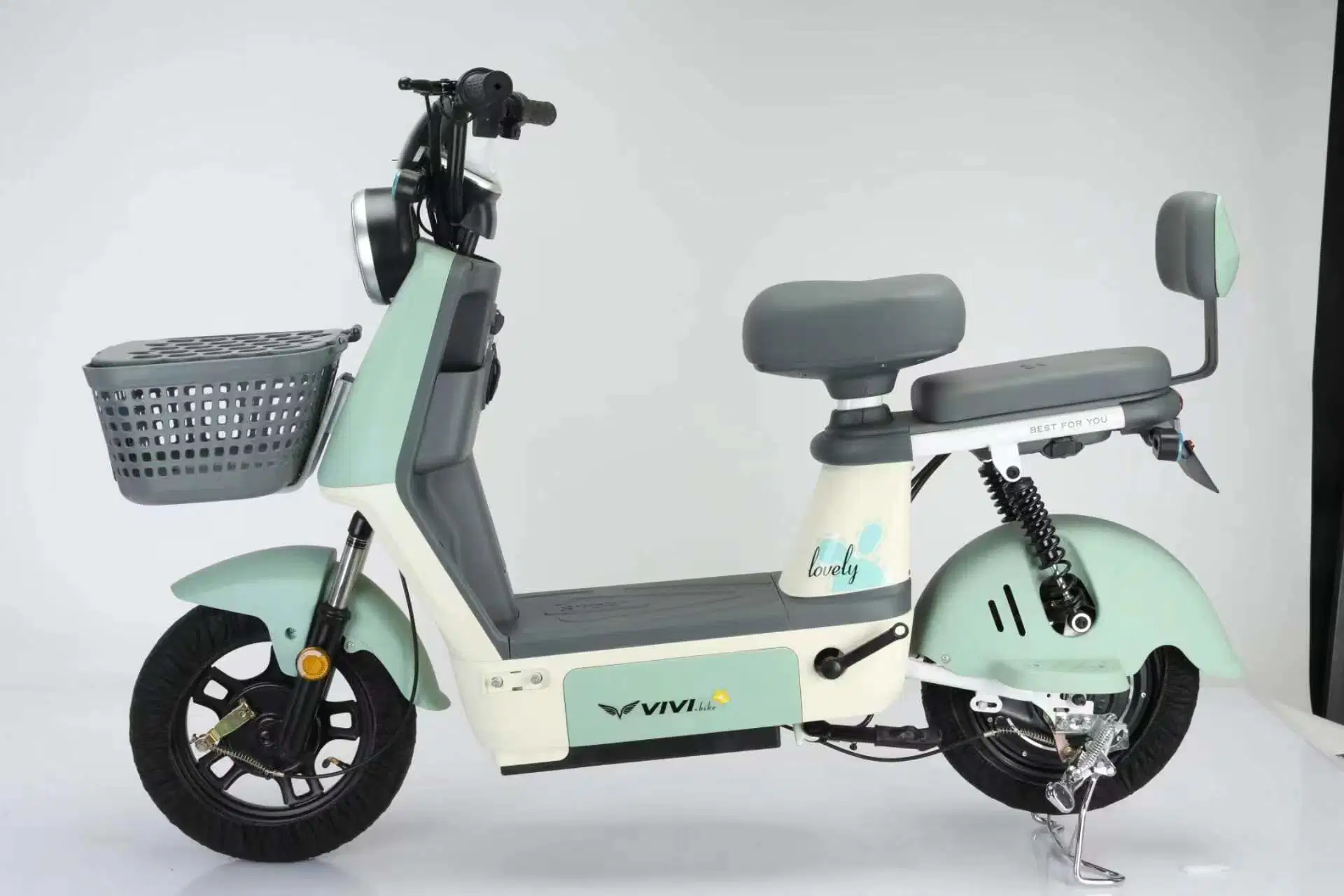 Electric Vehicle Electric Scooters Lithium Battery Removable Battery