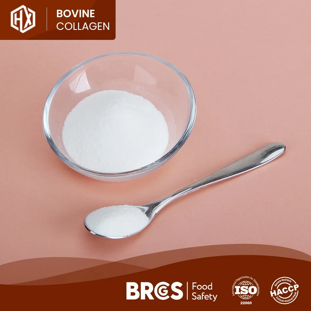 Haoxiang Quality Hydrolyzed Bovine Hide Collagen Peptides High-Purity Collagen Peptide Powder China Suppliers High-Quality Grass Fed Bovine Collagen Peptides
