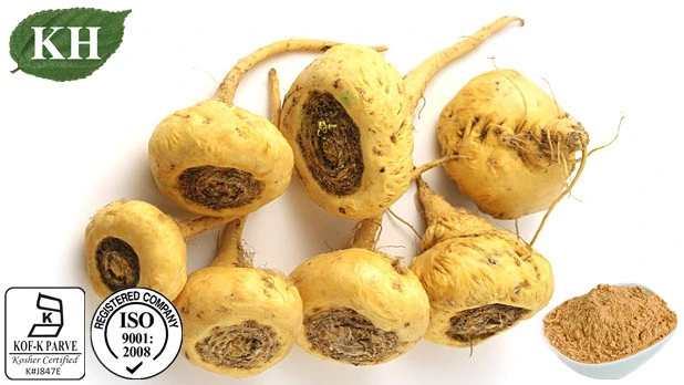 High quality/High cost performance Maca Extract Glucosinolates Macamides Macaenes