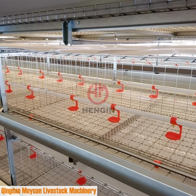 Automatisches Geflügelvergießen Bewässerung Trink-System von Broiler Chicken Cage