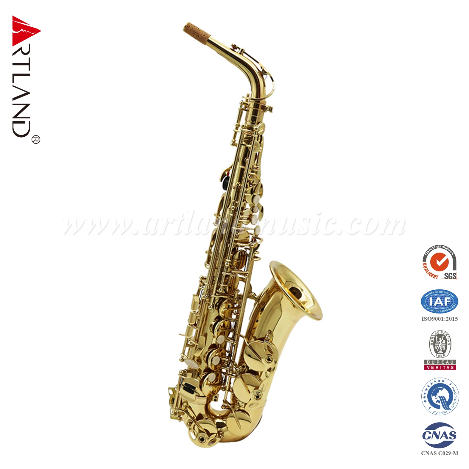 Gold Lacquer Alto Saxophone (AAS4505G) with Case