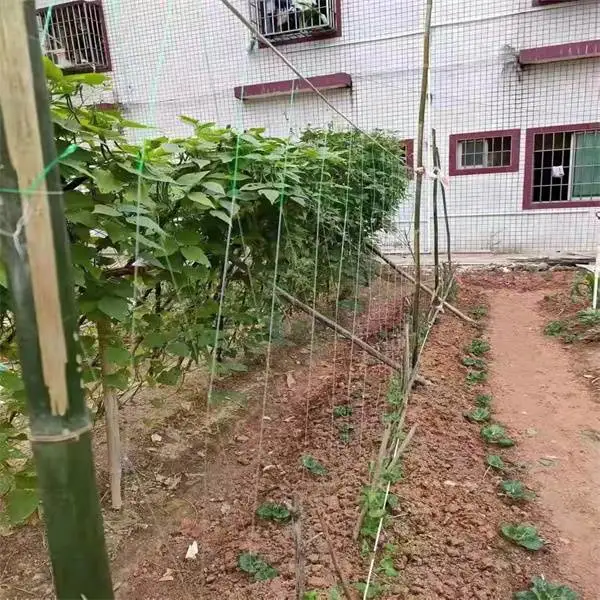 380D/9ply jardín invernadero de plástico de HDPE Pea Bean la escalada de cosecha de 3 pulgadas de precios de compensación enrejado soporte