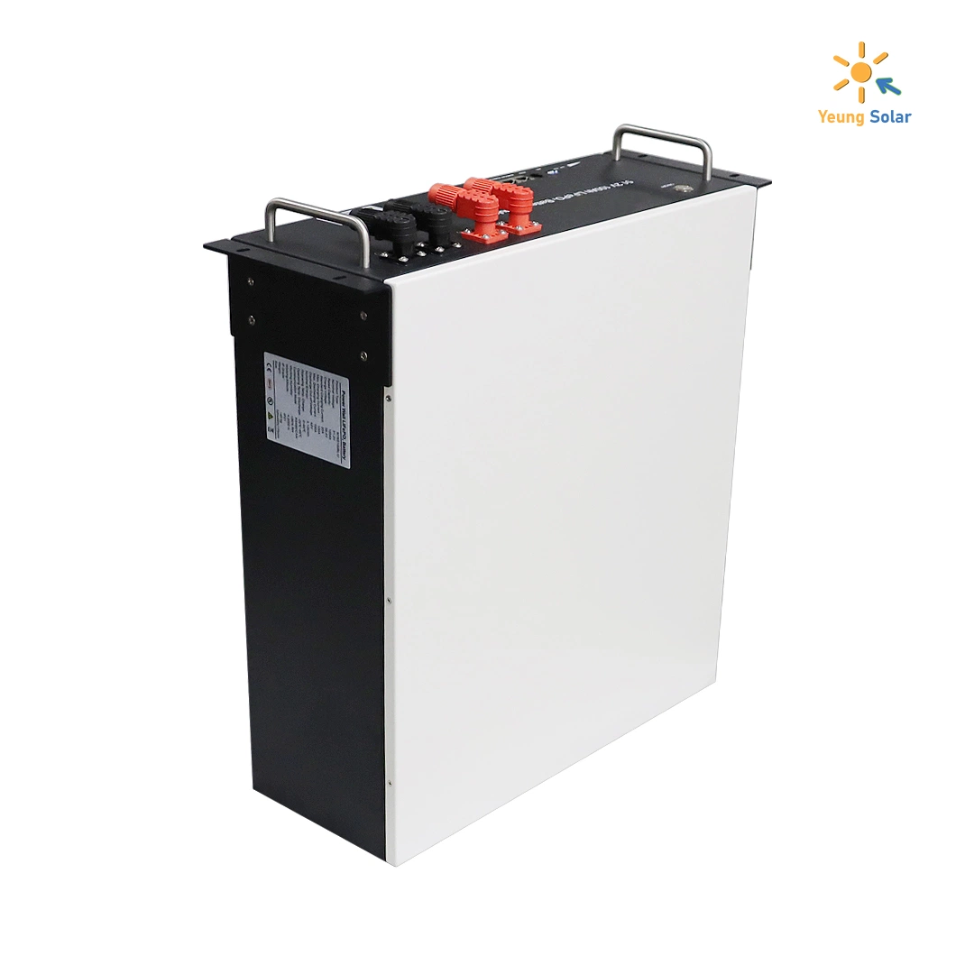 LFP LFPO4 Ess Energy Storage Lithium Ion Battery الطاقة الشمسية 24 فولت 48 فولت 51.2 فولت 50ah 100ah 150ah 200ah مع CE، UN 38.3