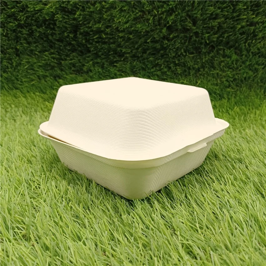 Single Compartment Clamshell Takeout Box Made From Eco-Friendly Plant Fibers