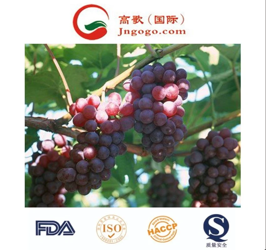 Fresh New Crop Chinese Red Globe Grape Excellent Quality Delicious Red Grape