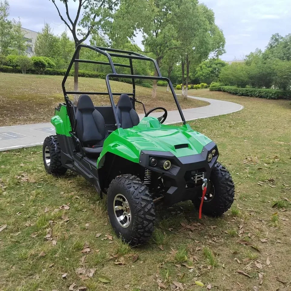 Electric UTV 4 plazas 2 plazas off road Side by Side